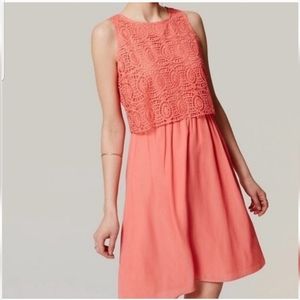 NEW Ann Taylor Loft Coral Lace Top Dress 8